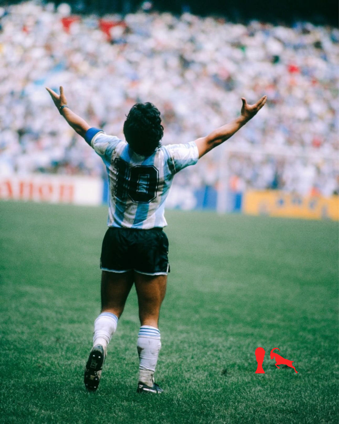 Maradona 1986 WC GOAT T-Jersey - Black